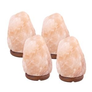15% Rabatt! - 4 x Salzlampe 2 bis 4 kg - Himalayasalz / Salzstein (Halit) - ca. 22x12cm pro Stück
