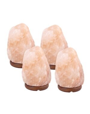 15% Rabatt! - 4 x Salzlampe 2 bis 4 kg - Himalayasalz / Salzstein (Halit) - ca. 22x12cm pro Stück