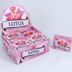HEM Räucherkegel / Cones - Lotus - Vorteilsbox (12 Päckchen / 120 Kegel)