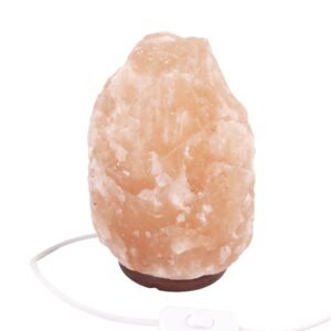 Salzlampe 8 bis 10kg - Himalayasalz / Salzstein (Halit) - ca. 32x17cm