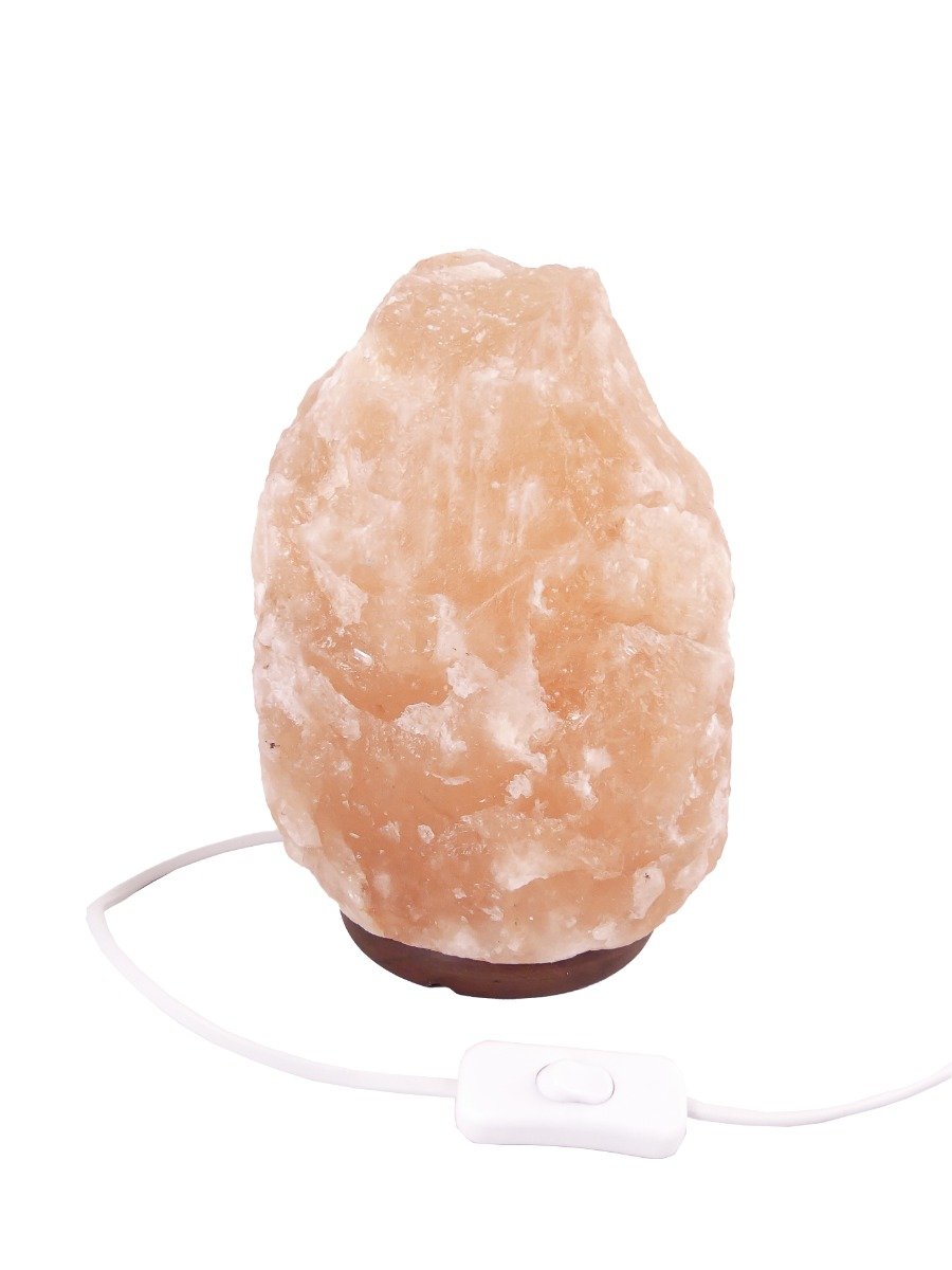 Salzlampe 8 bis 10kg - Himalayasalz / Salzstein (Halit) - ca. 32x17cm